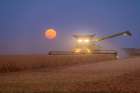 Combine harvesting soybeans as full moon rises (harvest moon)-Marion County-Illinois Art Print